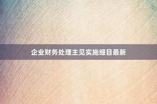企业财务处理主见实施细目最新