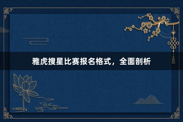 雅虎搜星比赛报名格式，全面剖析