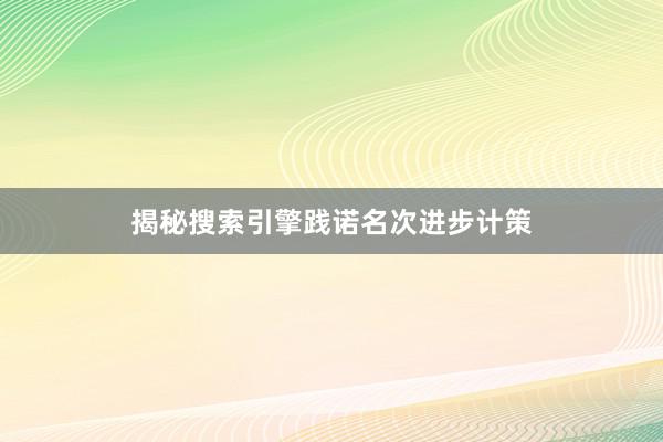 揭秘搜索引擎践诺名次进步计策