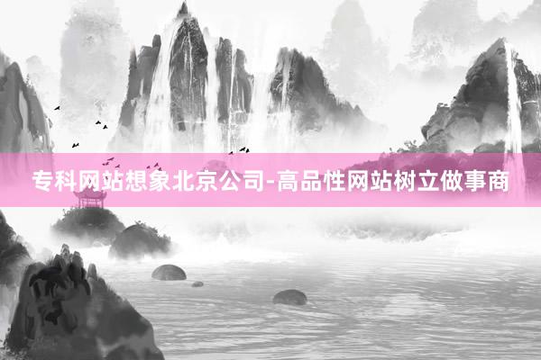专科网站想象北京公司-高品性网站树立做事商